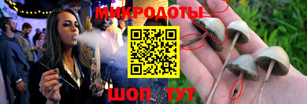 Галлюциногенные грибы Cubensis  Вход с VPN  Калининград  Галлюциногенные грибы Psilocybe 